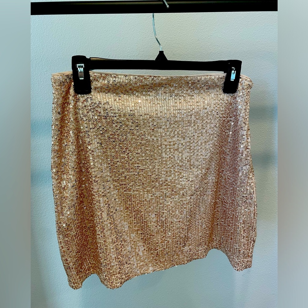 Banana Republic Sequin Mini Skirt - brand new, never worn - with tags!